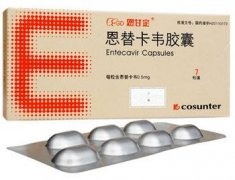 恩甘定恩替卡韦胶囊药代动力学